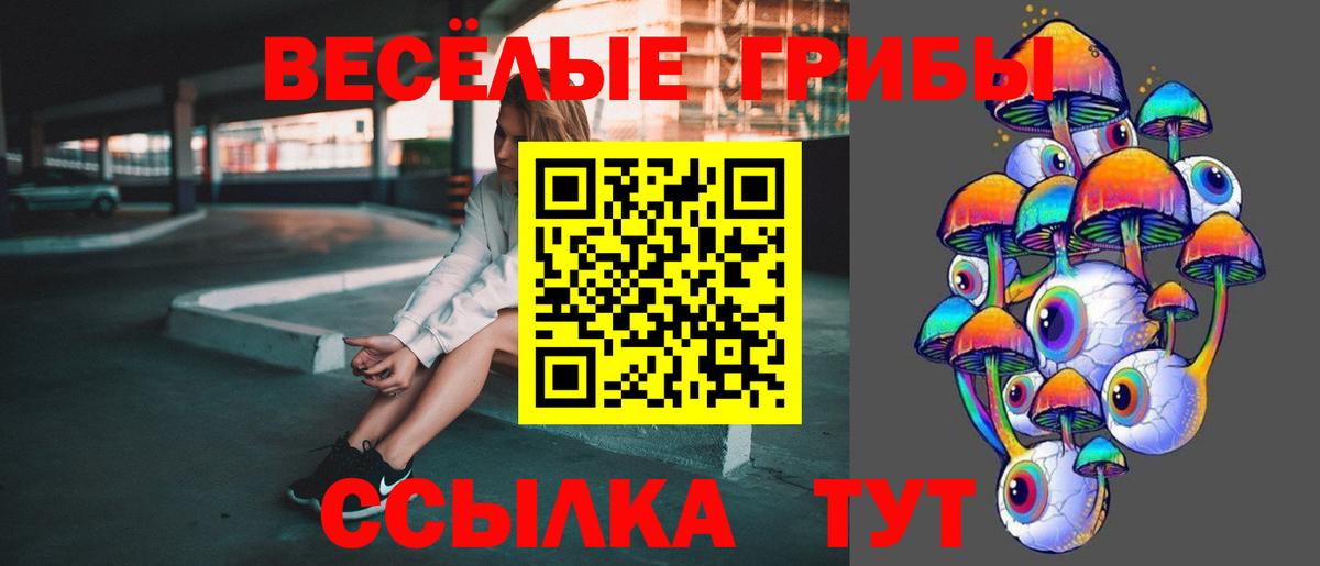 Псилоцибиновые грибы Magic Shrooms  Галлюциногенные грибы Magic Shrooms  Севастополь  хочу наркоту  Вход с VPN 